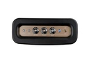 Fender Bluetooth Speaker Newport 2 Champagner, Schwarz