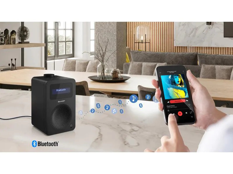 Sharp DAB+ Radio DR-430 – Midnight Black