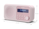 Sharp DAB+ Radio DR-P420 – Pink