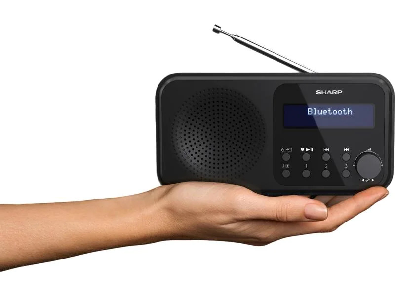Sharp DAB+ Radio DR-P420 – Schwarz