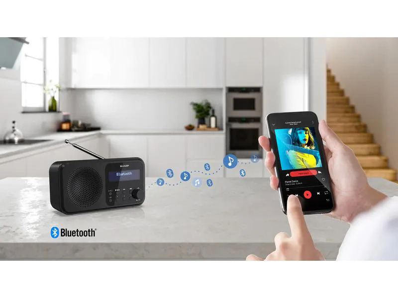 Sharp DAB+ Radio DR-P420 – Schwarz