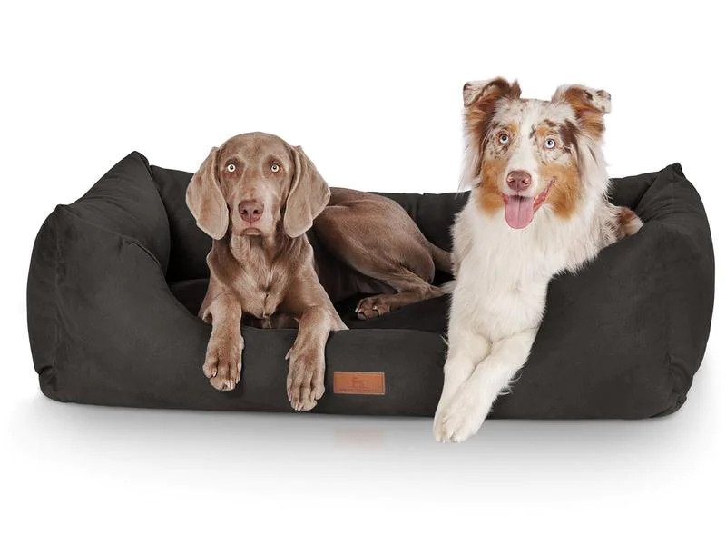 Knuffelwuff Hunde-Bett Dreamline Velour XL, 105 x 75 cm, Schwarz