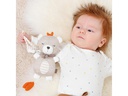 fehn Spieluhr Mini Natur Teddy