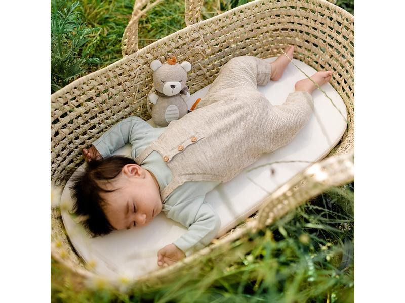 fehn Spieluhr Mini Natur Teddy