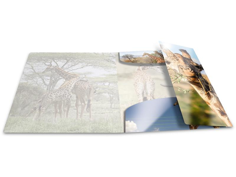 HERMA Gummibandmappe A3 Giraffe, Polypropylen, mit Innendruck
