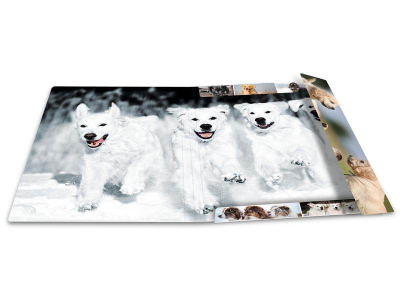HERMA Gummibandmappe A3 Hunde, Karton, mit Innendruck