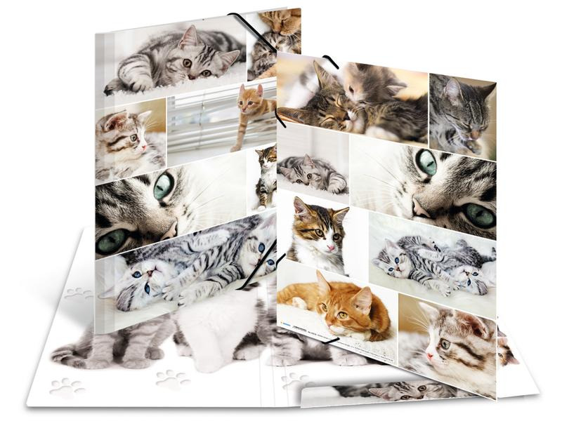 HERMA Gummibandmappe A3 Katzen, Karton, mit Innendruck