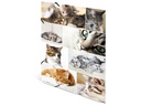 HERMA Gummibandmappe A3 Katzen, Karton, mit Innendruck