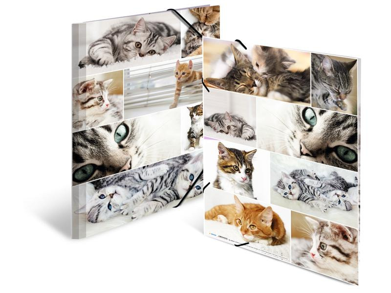 HERMA Gummibandmappe A3 Katzen, Karton, mit Innendruck