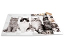HERMA Gummibandmappe A4 Katzen, Karton, mit Innendruck