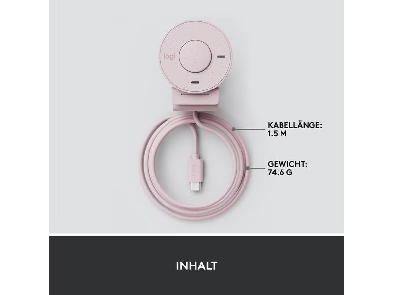 Logitech Webcam Brio 300 Rose