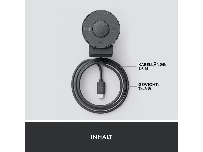Logitech Webcam Brio 300 Graphite