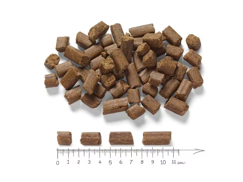 Markus Mühle Trockenfutter Dog Black Angus Adult, 15 kg