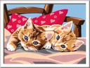 Ravensburger Malen nach Zahlen CreArt: Two Cuddly Cats