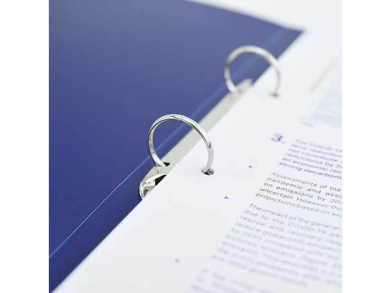 Rapesco Ringbuch Germ-Savvy A4, 4 Stück, Mehrfarbig