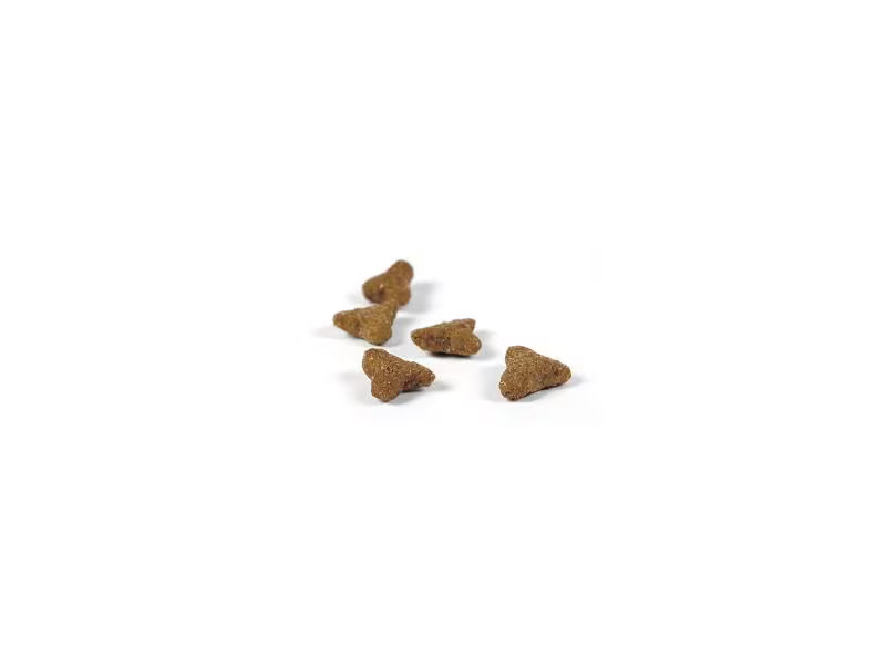 Josera Trockenfutter Catelux Duck/Potato, 0.4 kg