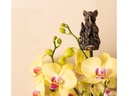 Jardinopia Cane Companions Peter Rabbit