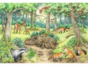 Ravensburger Kleinkinder Puzzle WWW Tiere im Wald und auf der Wiese