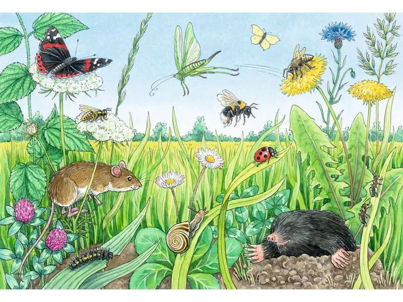 Ravensburger Kleinkinder Puzzle WWW Tiere im Wald und auf der Wiese