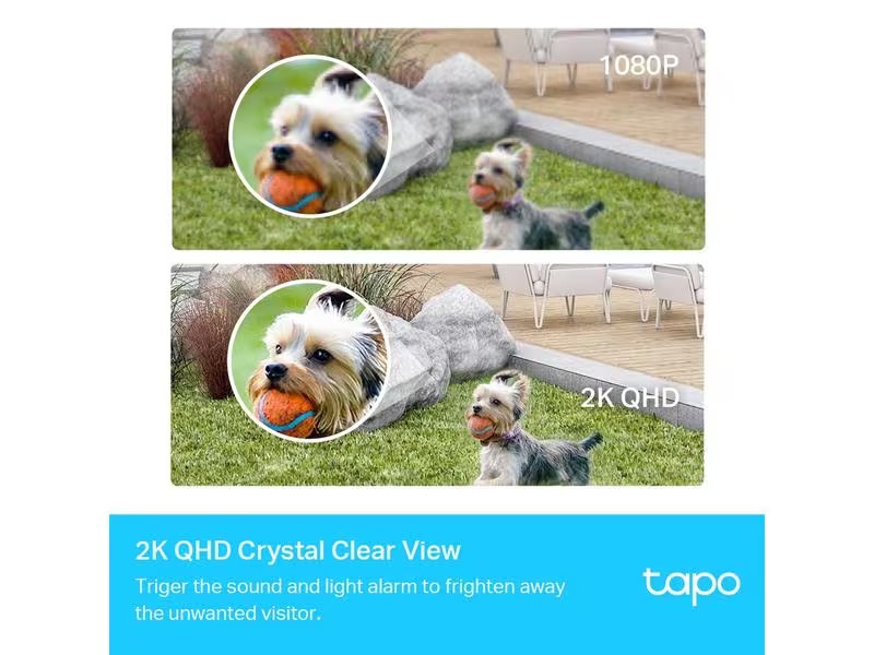 TP-Link Überwachungsset Tapo C420S1
