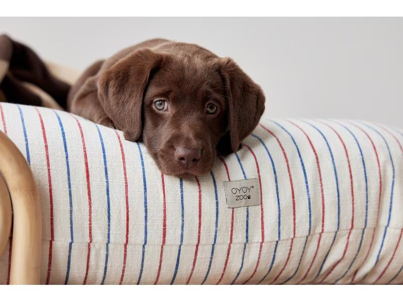 OYOY Hunde-Bett Otto, M, Nature