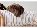 OYOY Hunde-Bett Otto, M, Nature