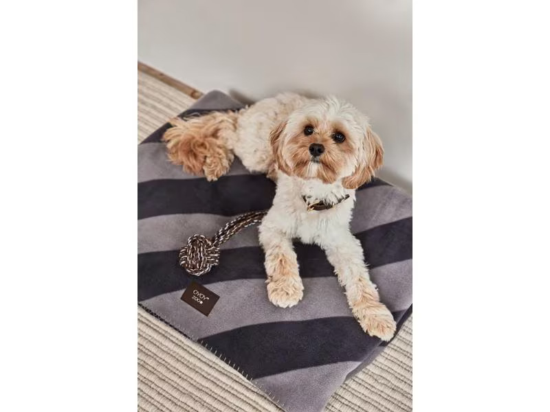 OYOY Hunde-Decke Kaya, S, Schwarz