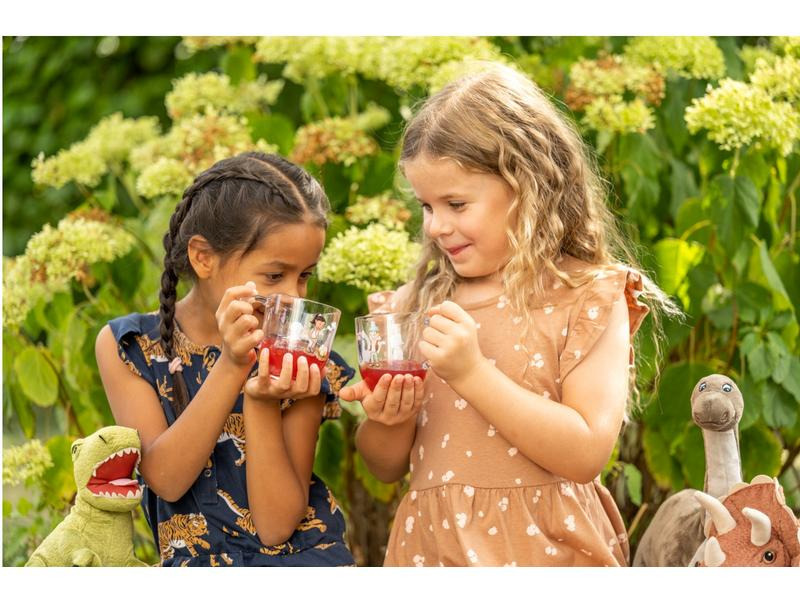 Leonardo Kindertasse Avvenutura 280 ml, 6 Stück, Dinosaurier