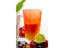 Leonardo Trinkbecher LD Optic XL 540 ml, 4 Stück, Rot