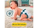 Pampers Windeln Premium Protection Maxi Grösse 4