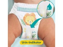 Pampers Windeln Premium Protection Pants Extra Large Grösse 6