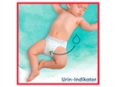 Pampers Windeln Harmonie Pants Maxi Grösse 4
