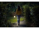 Philips Campinglampe Cicero, 5W, 5000K, Weiss