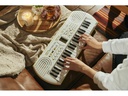Casio Mini Keyboard SA-80