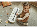 Casio Mini Keyboard SA-80