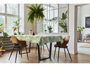 d-c-table Tischdecke PVC-free Rain Forest 150 cm x 2.2 m, Grün