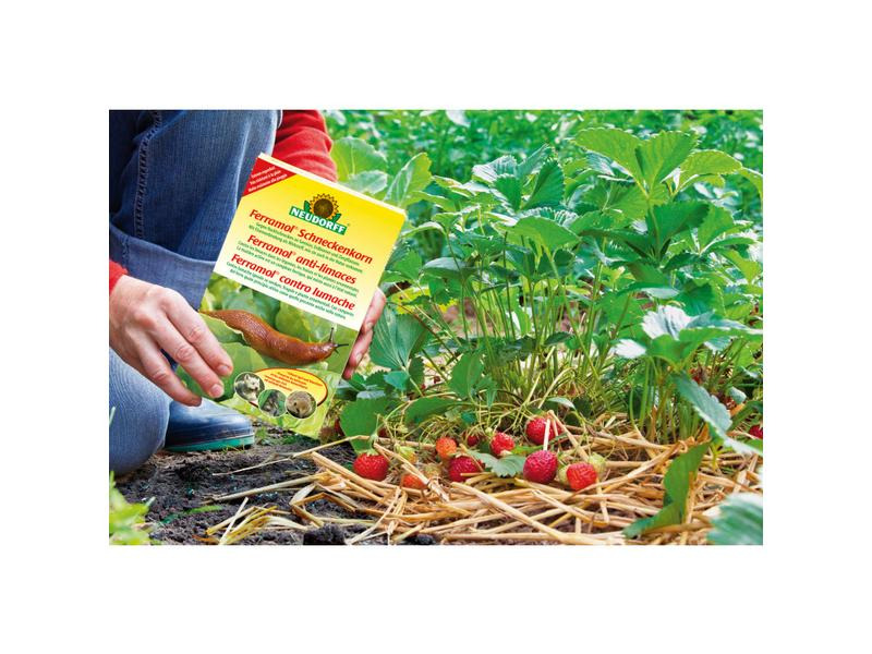 Neudorff Schnecken Ferramol Schneckenkorn, 800 g