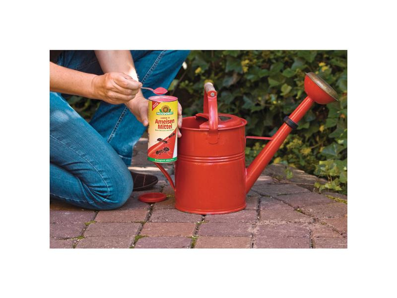 Neudorff Insektenfalle Loxiran-S-Ameisen Mittel, 500 g