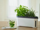 Gusta Garden Kräutertopf HARRY HERBS mit Haube, Weiss