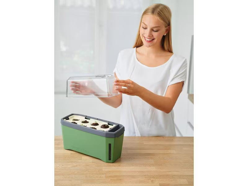 Gusta Garden Kräutertopf HARRY HERBS mit Haube, Dunkelgrün