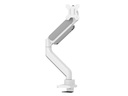 Neomounts by NewStar Tischhalterung DS70-450WH1 bis 15 kg – Weiss