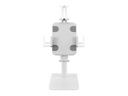 Neomounts by NewStar Standfuss DS15-625WH1 - Weiss