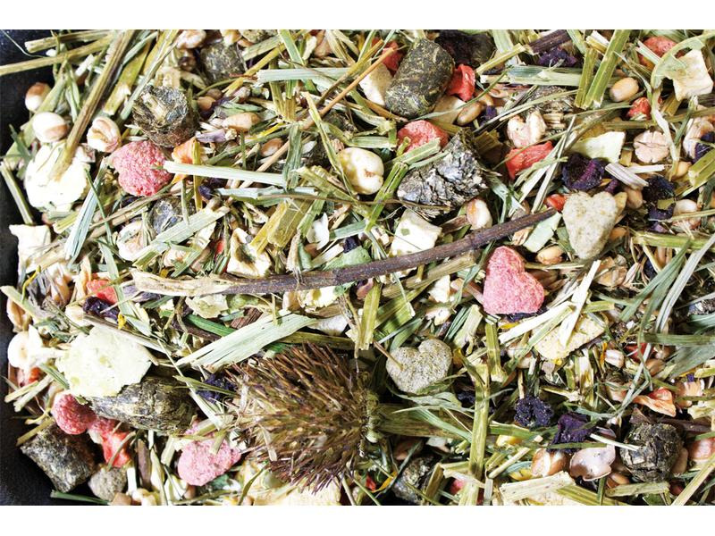 JR Farm Hauptfutter Basic Degu-Schmaus, 1.6 kg