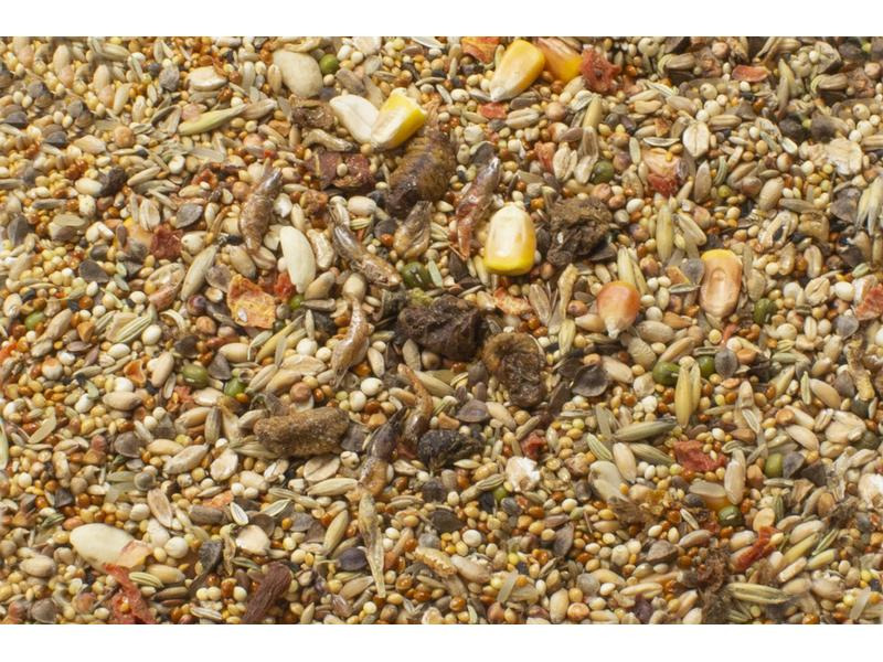 JR Farm Hauptfutter Basic Hamster-Schmaus, 600 g