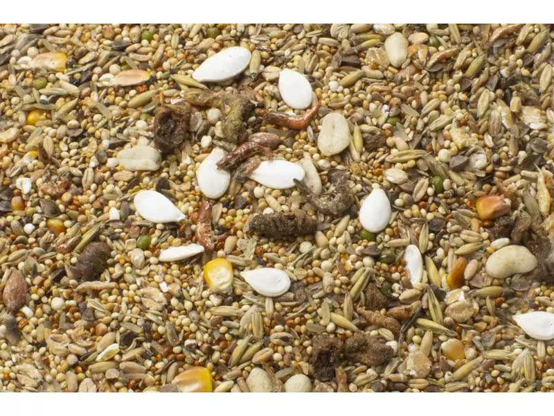 JR Farm Hauptfutter Basic Zwerghamster-Schmaus 600 g