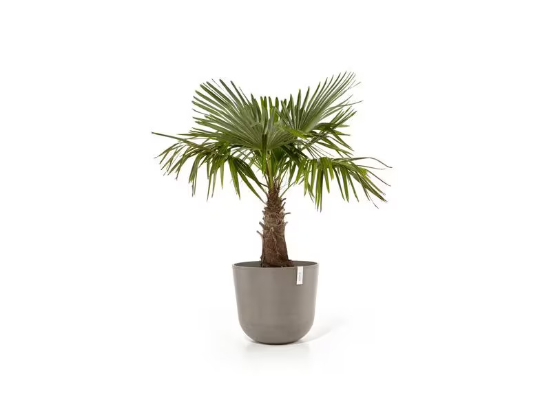 Ecopots Pflanzentopf Oslo 55, French Taupe
