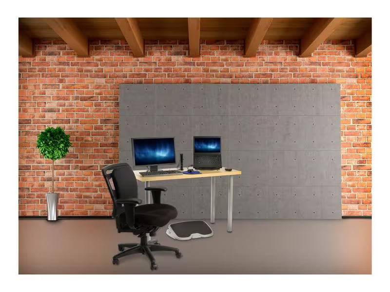 Kensington Ergonomische Maus Pro Fit