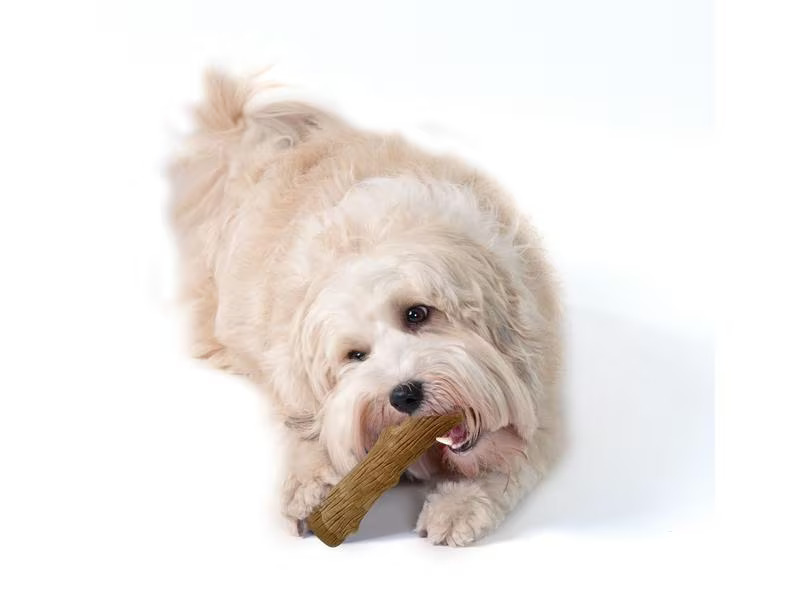 Petstage Hunde-Spielzeug Dogwood Durable Stick, S