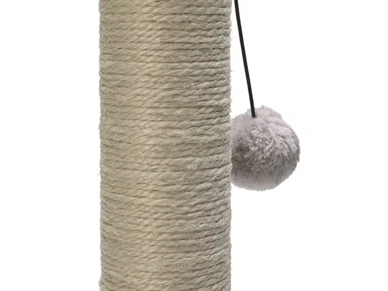 Simon's Cat Kratzstamm Braun/Grün