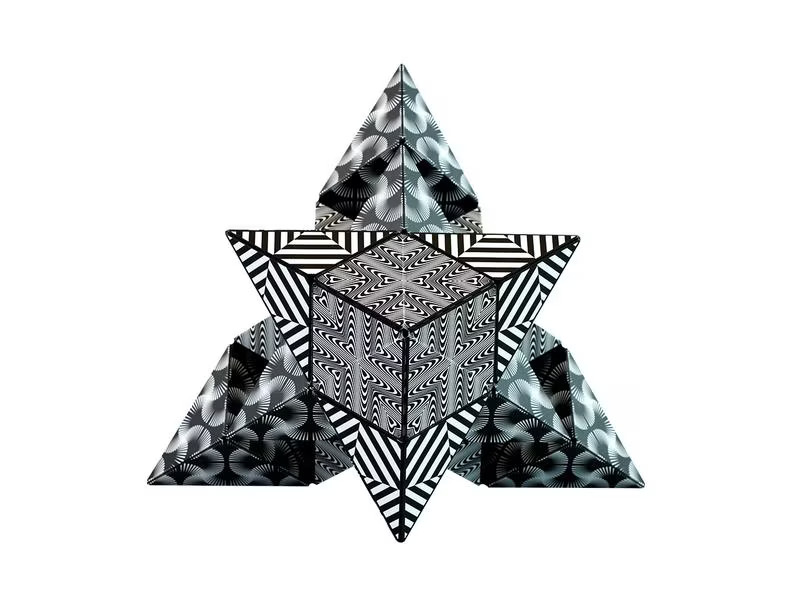 Shashibo Shashibo Cube schwarz/weiss